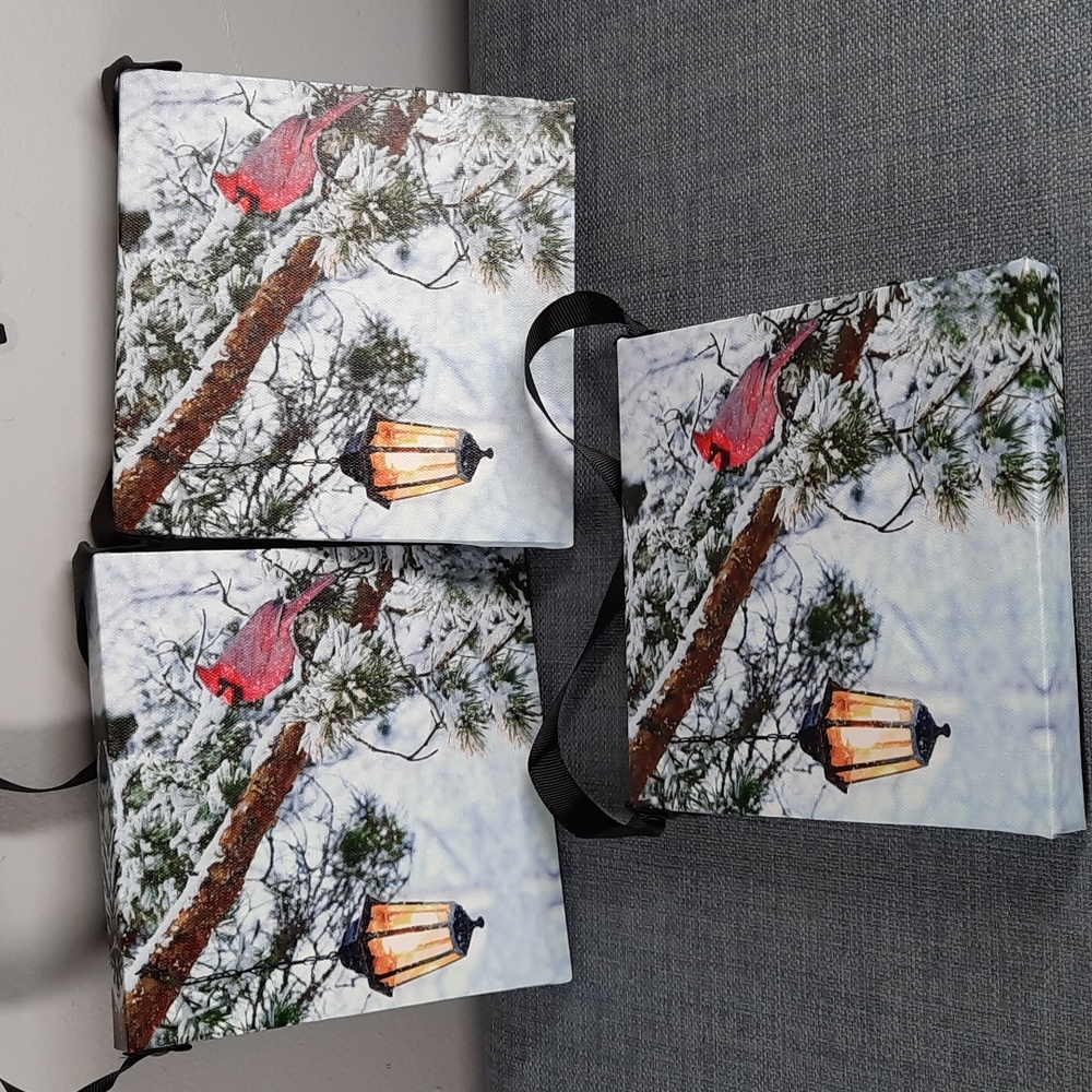 Winter Cardinal Canvas Lighted Flickering LED Ornament Picture Lantern Lights